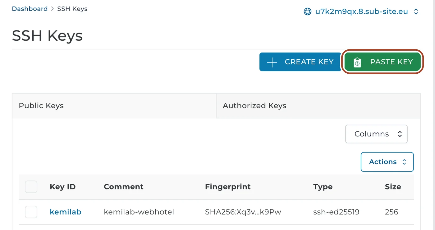 Siden SSH Keys med en nøgle ved navn kemilab på listen. Ringen markerer knappen PASTE KEY.